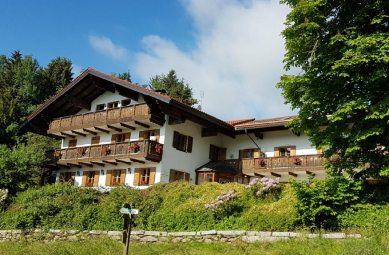 Haus Am Osterbruennl Leilighet Ruhmannsfelden Eksteriør bilde